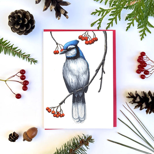 Carte - Geai bleu et sorbier
