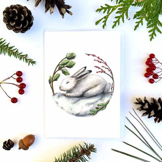 Map - Winter sleep of the hare