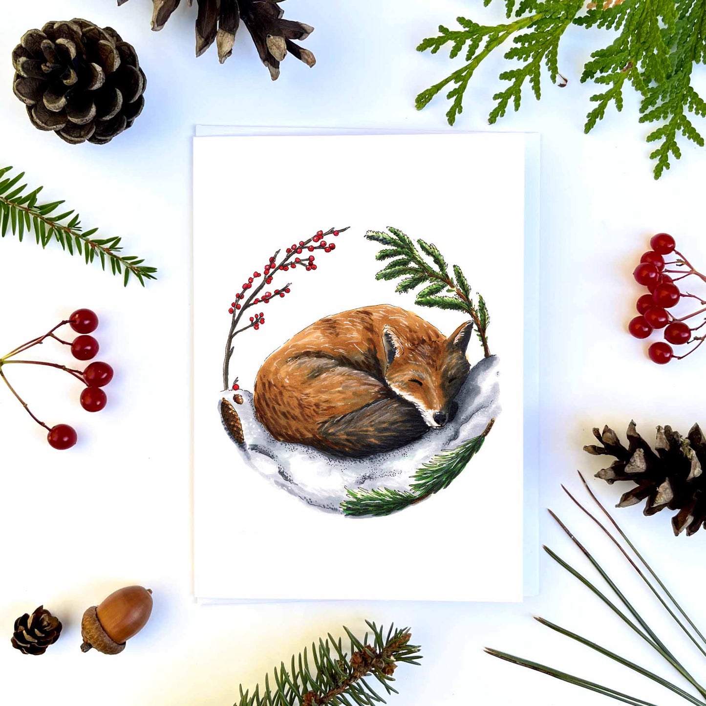Map - Fox's Winter Sleep