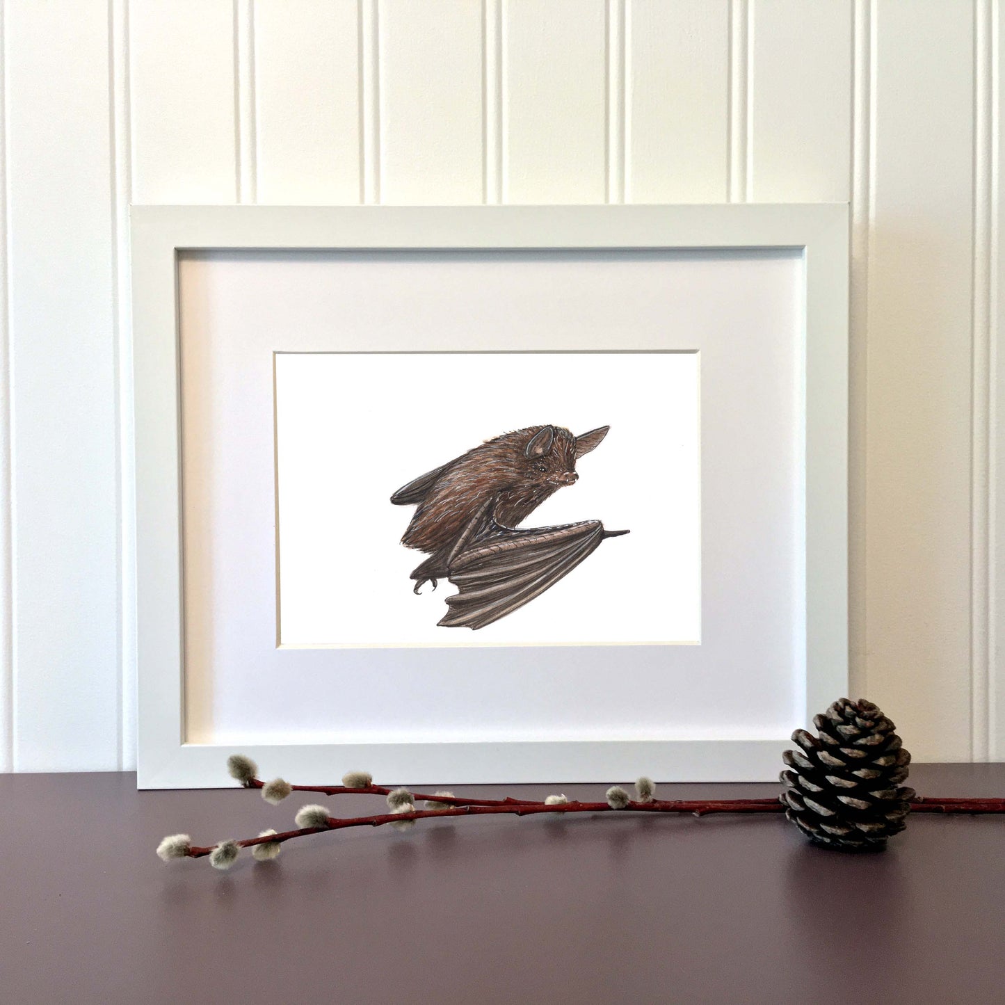 Illustration originale - Chauve-souris brune