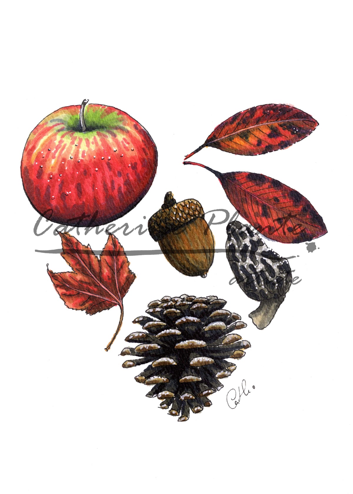 Greeting Cards - Autumnal Heart