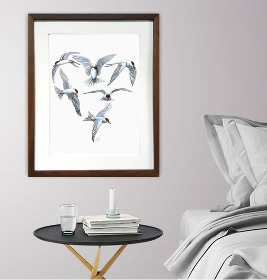 Grande illustration originale - Coeur de sternes