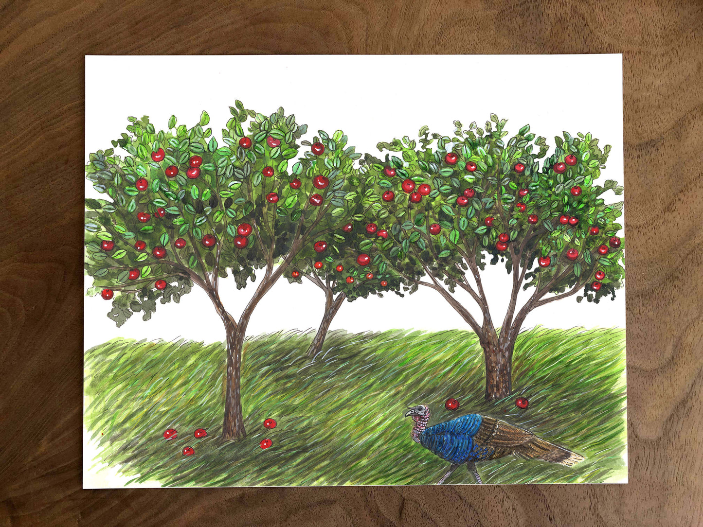 Original illustration - Turkey and apple trees