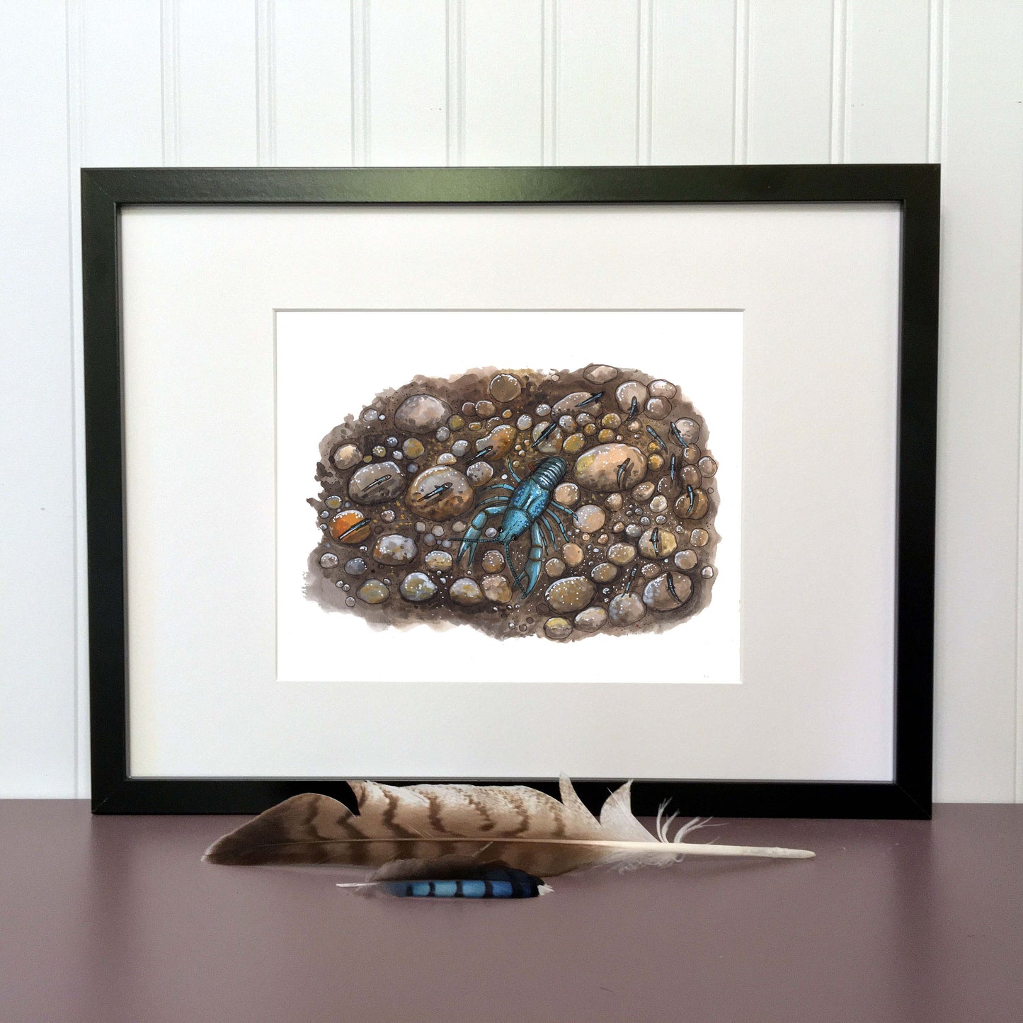 Illustration originale - Écrevisse