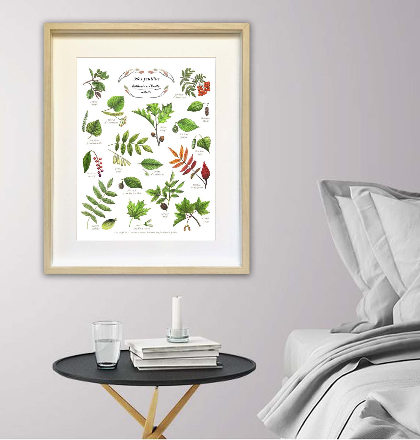 Affiche éducative - Nos feuillus