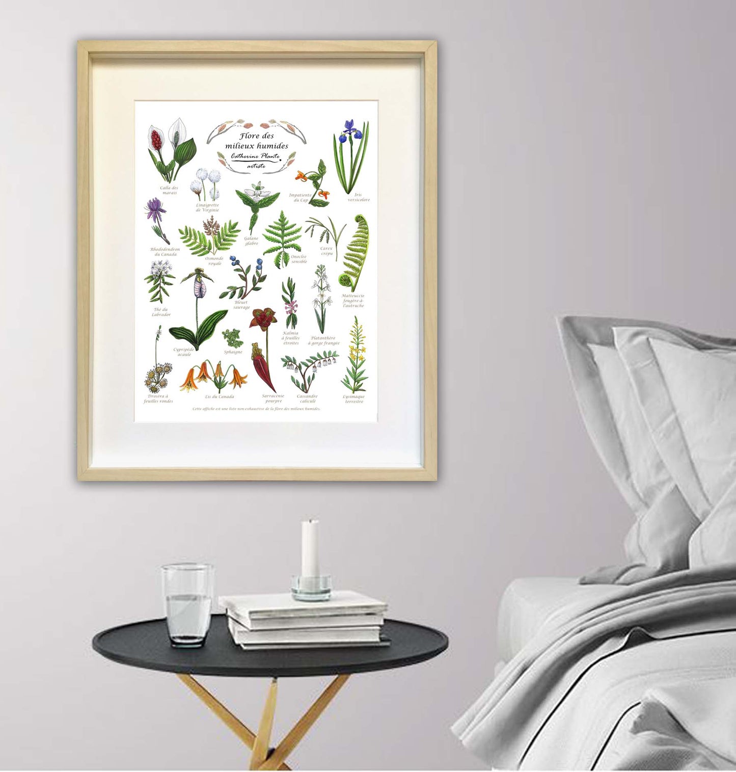 Educational poster - Undergrowth flowers