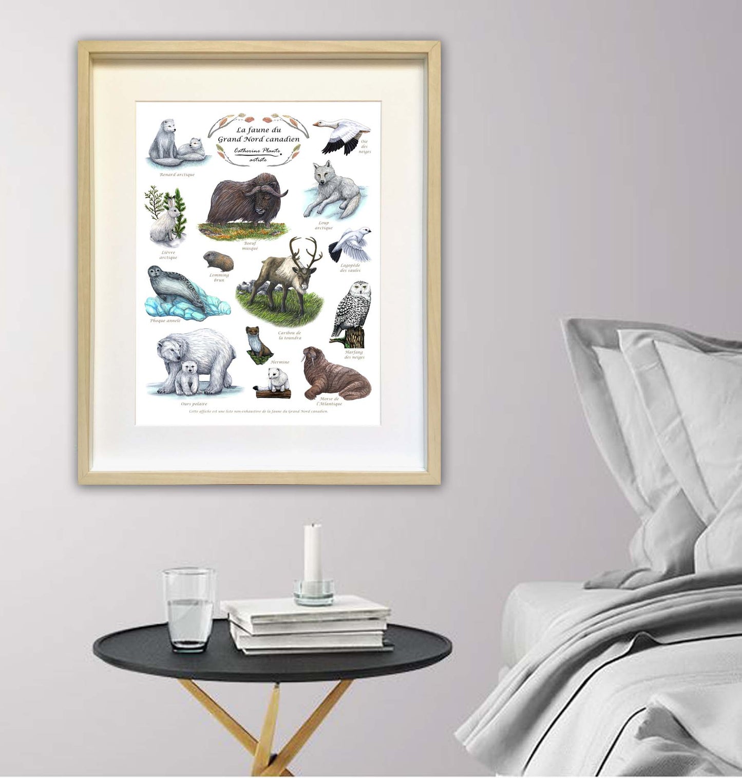 Educational Poster - Wildlife of the Canadian Far North