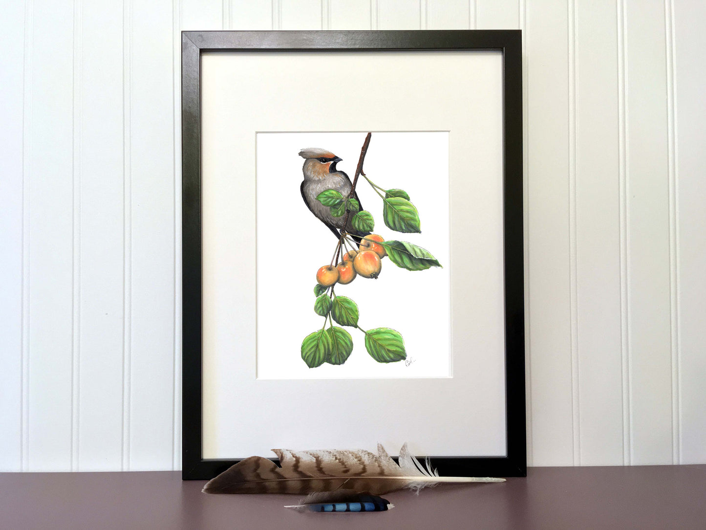 Original illustration - Waxwing and crabapples