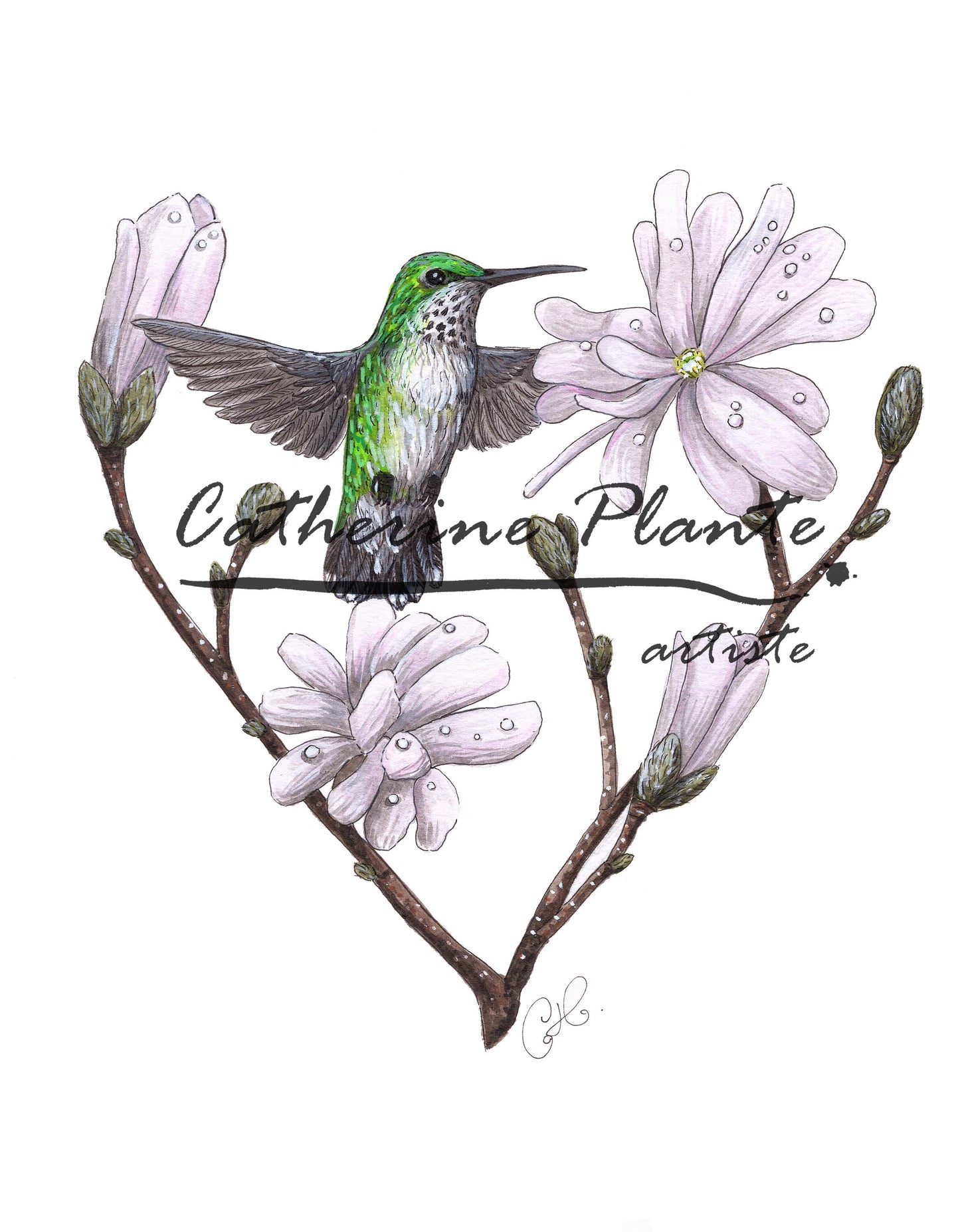 The First Hummingbird