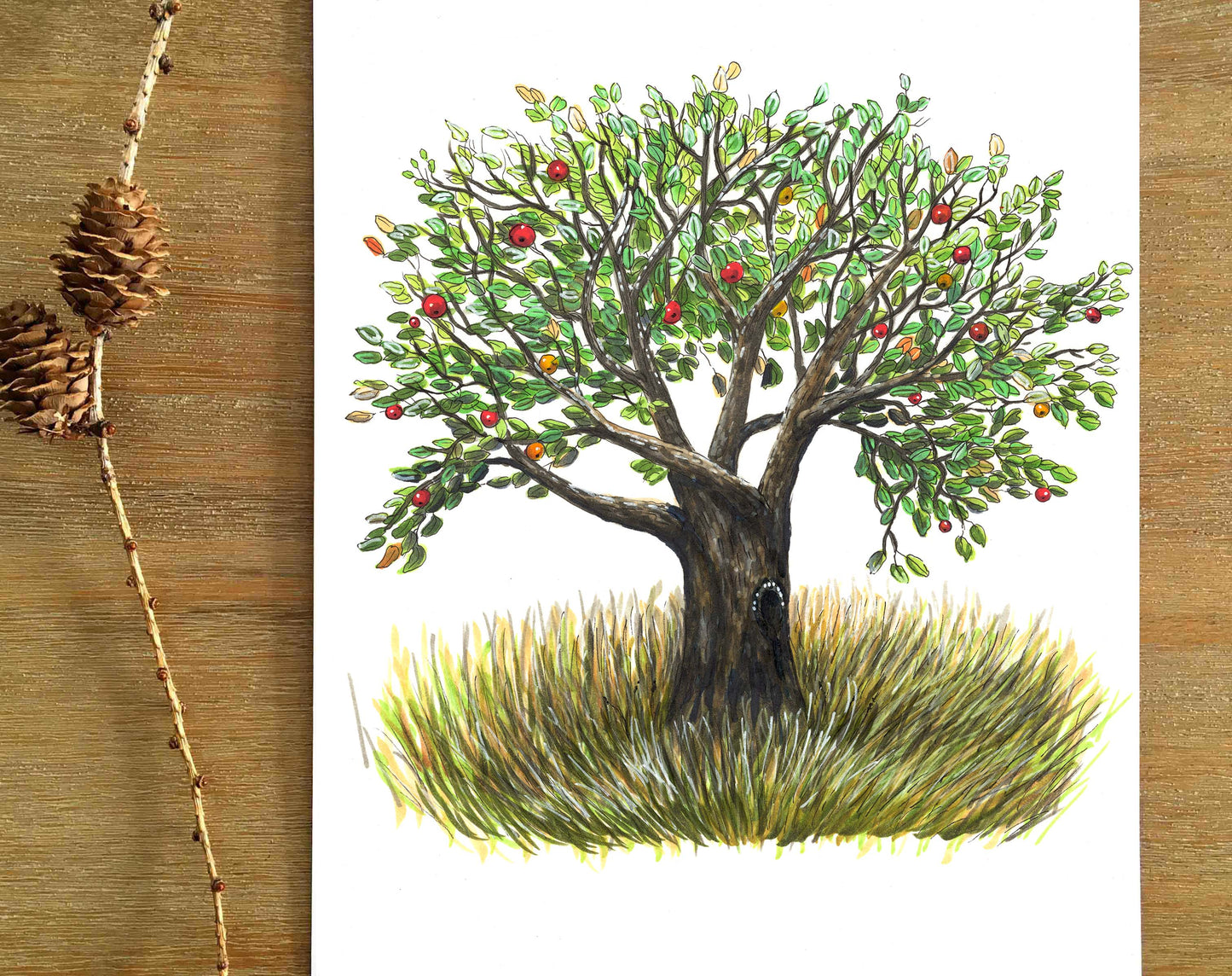 Illustration originale - Le pommier