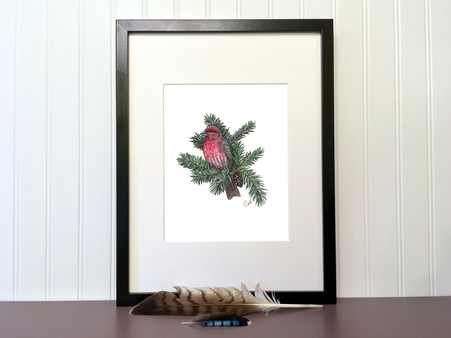 Original illustration - Finch at the fir tree