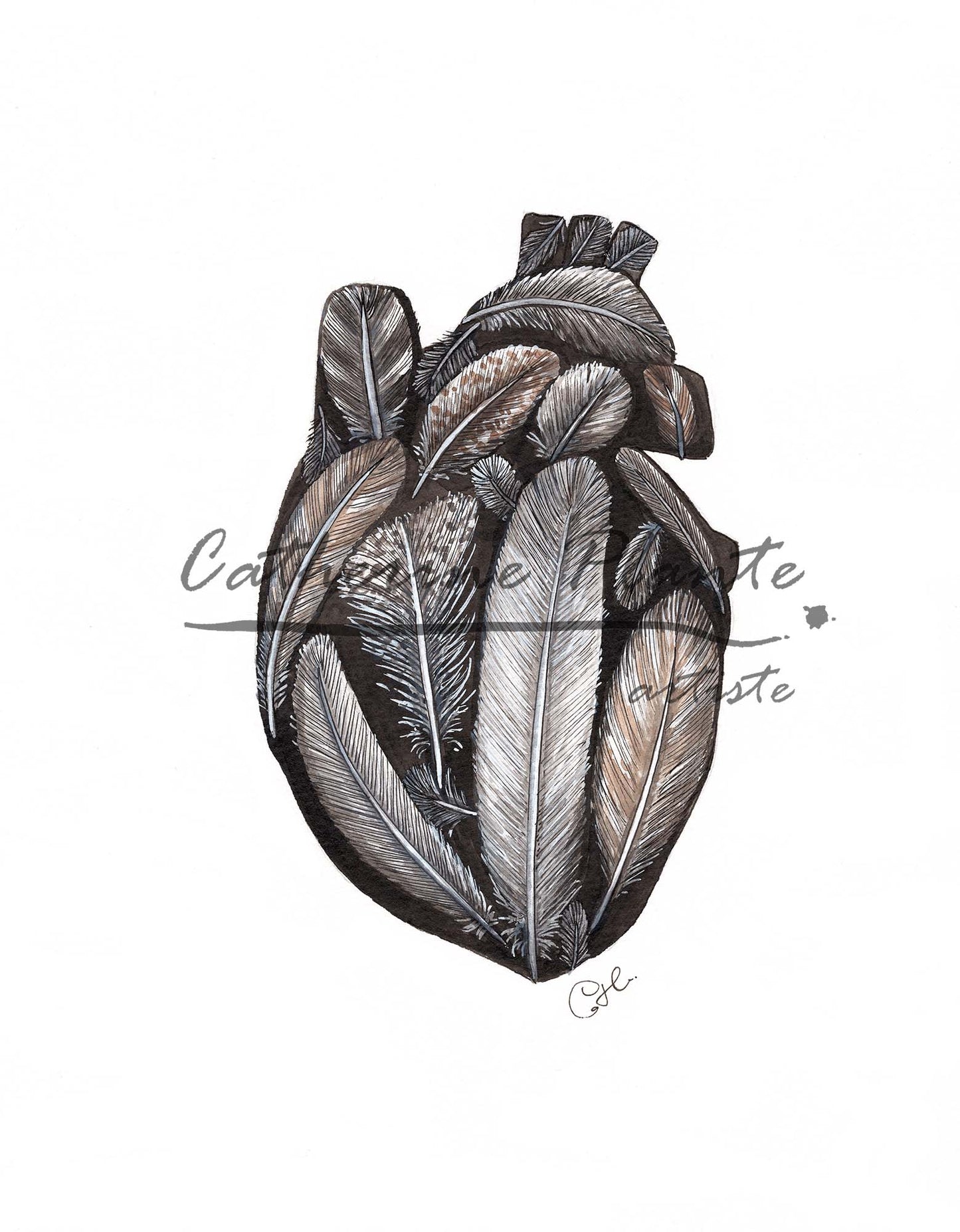 Illustration originale - Le coeur plein de duvet