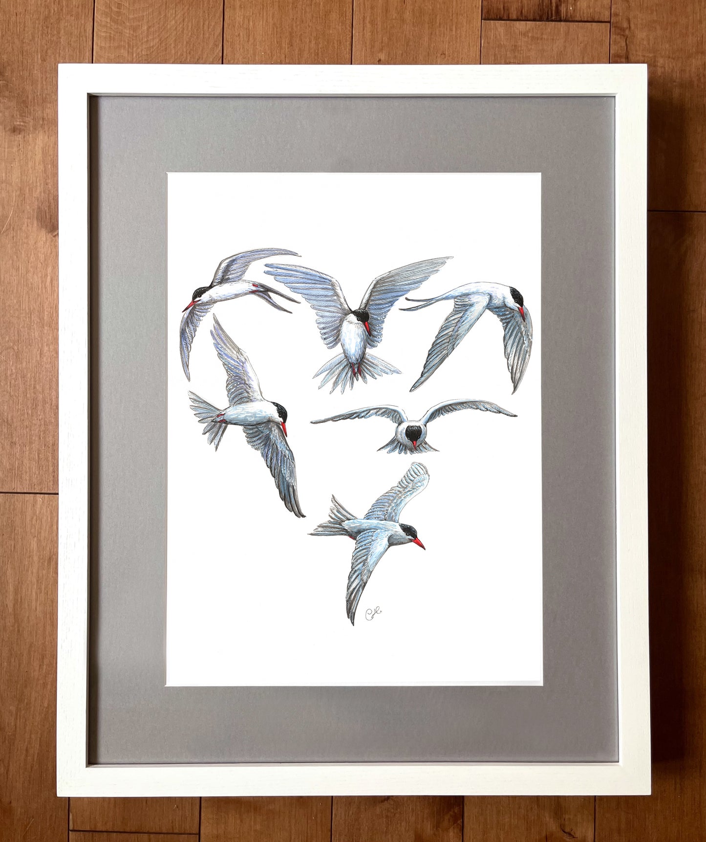 Grande illustration originale - Coeur de sternes