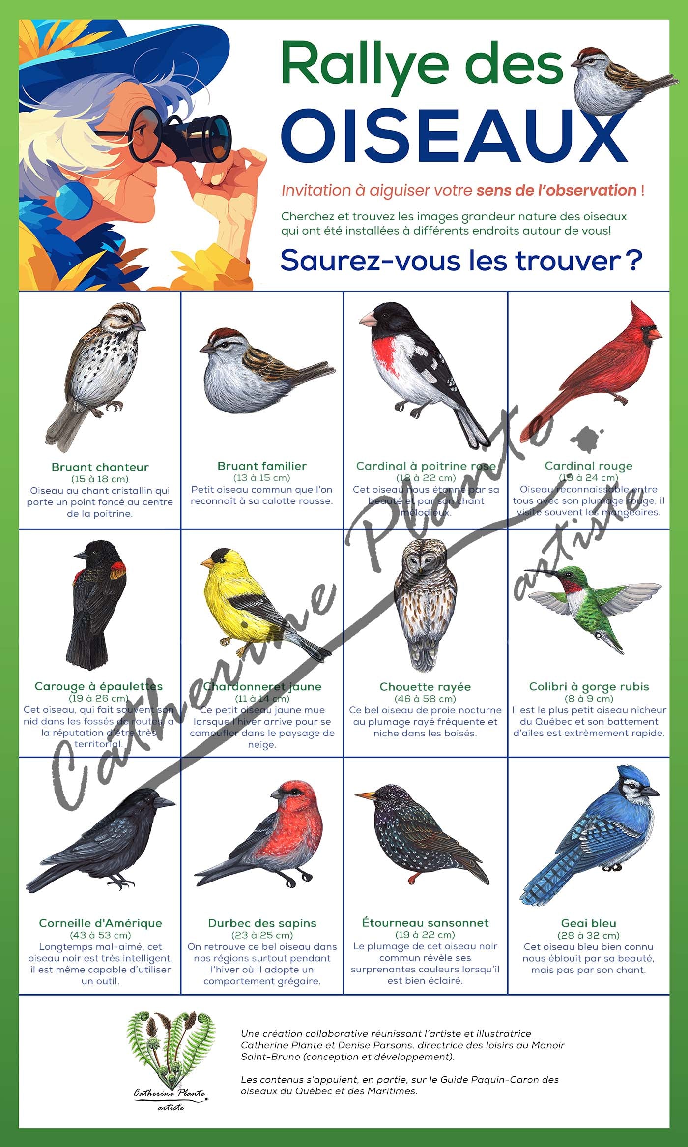 Rallye d'oiseaux - Modèle Deluxe: Ornithologue passionné