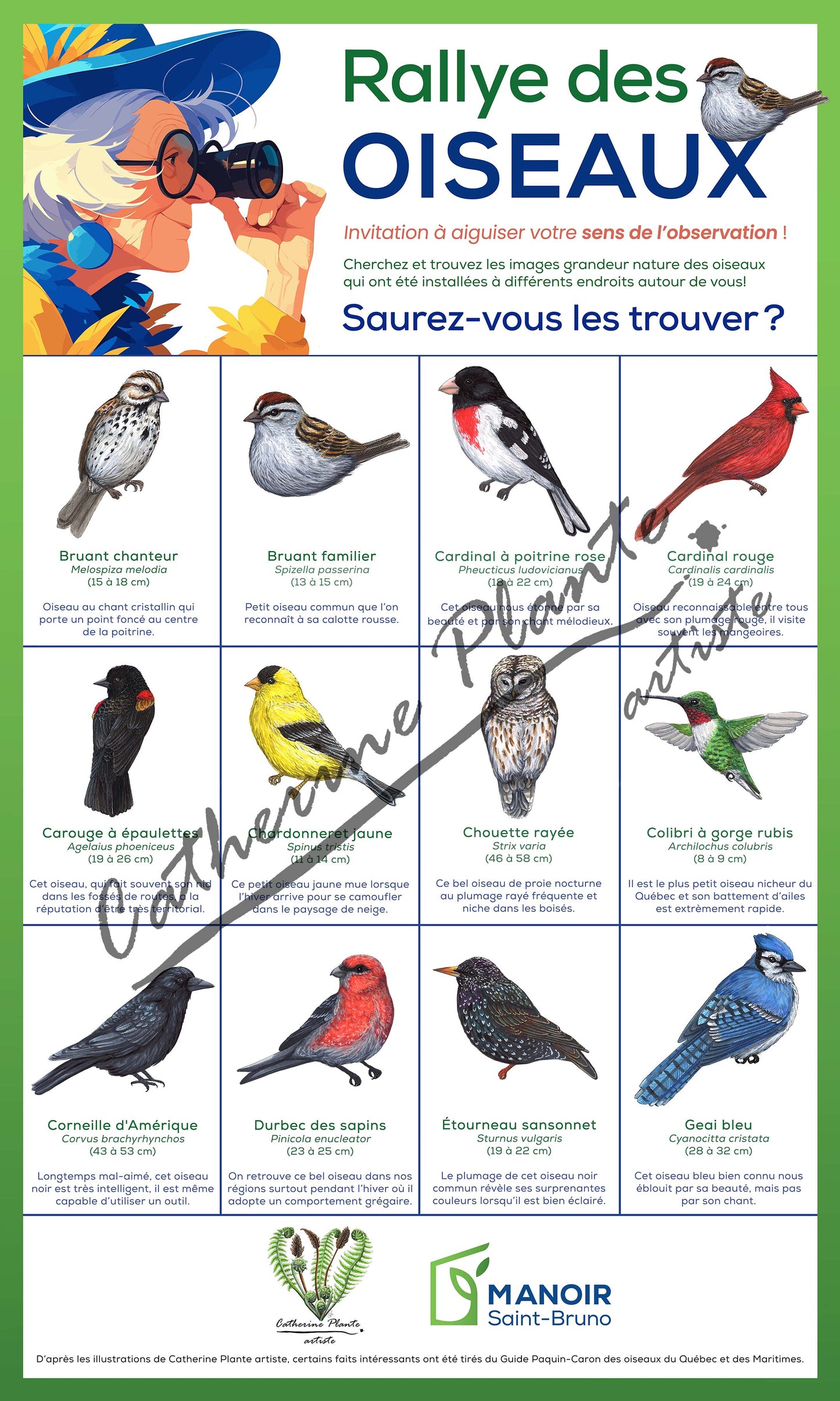 Rallye d'oiseaux - Modèle Deluxe: Ornithologue passionné