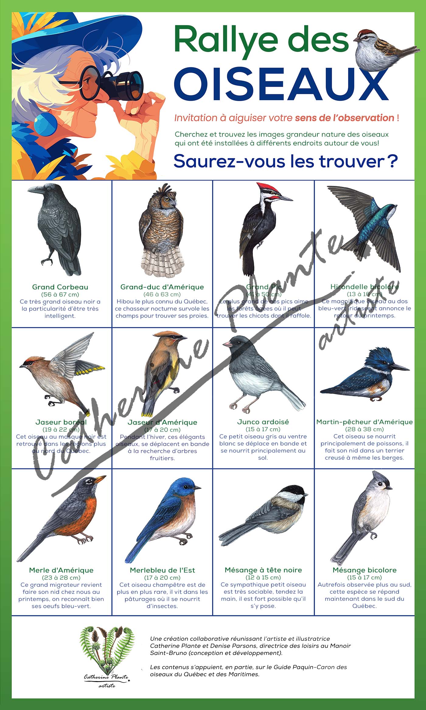 Rallye d'oiseaux - Modèle Deluxe: Ornithologue passionné