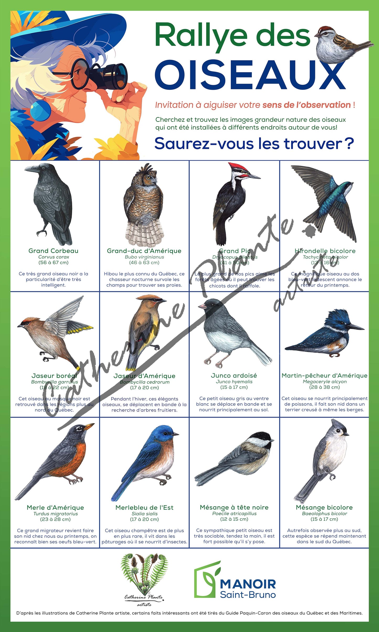 Rallye d'oiseaux - Modèle Deluxe: Ornithologue passionné