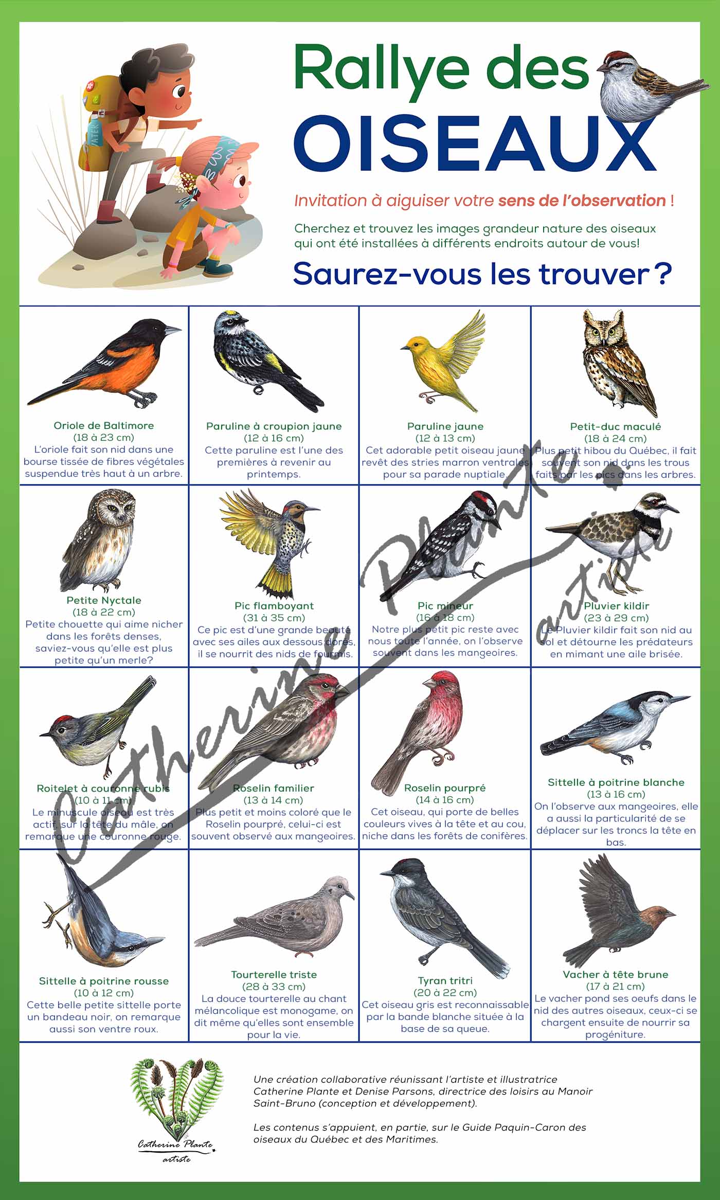 Rallye d'oiseaux - Modèle Deluxe: Ornithologue passionné