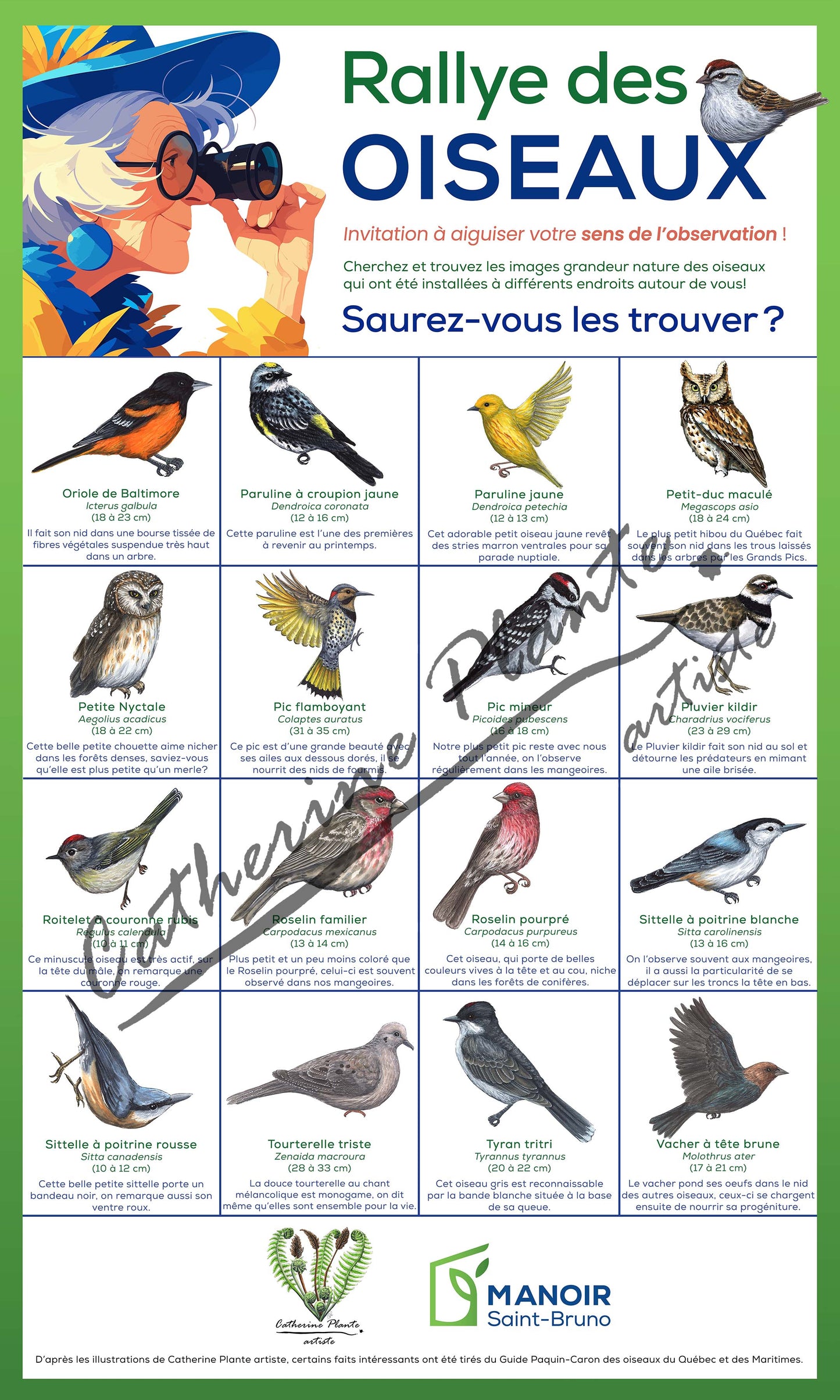 Rallye d'oiseaux - Modèle Deluxe: Ornithologue passionné
