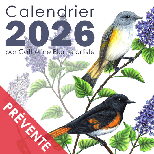 PRÉVENTE - Calendrier 2026