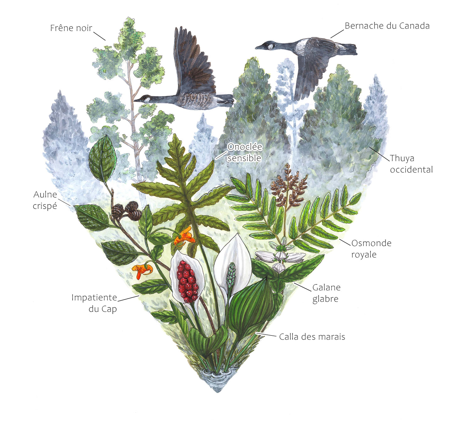 Cardinals and the Ginkgo