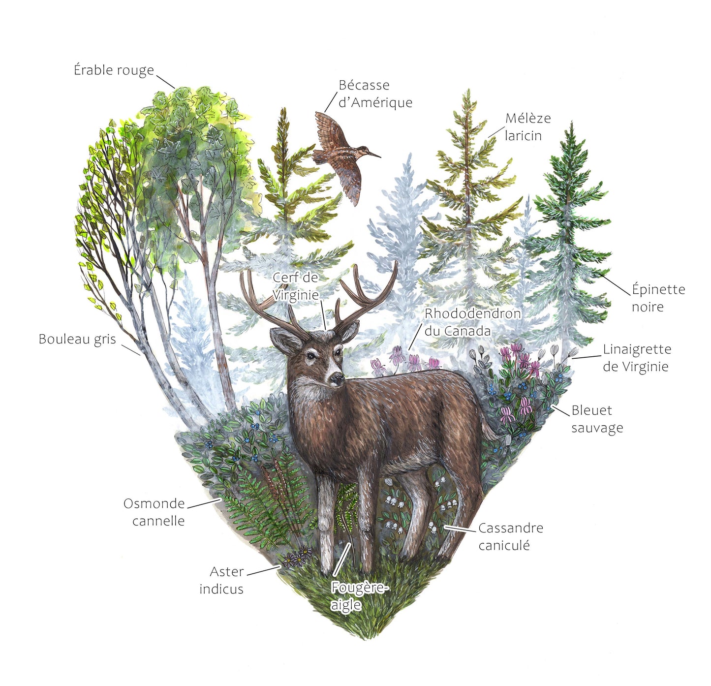 Cardinals and the Ginkgo