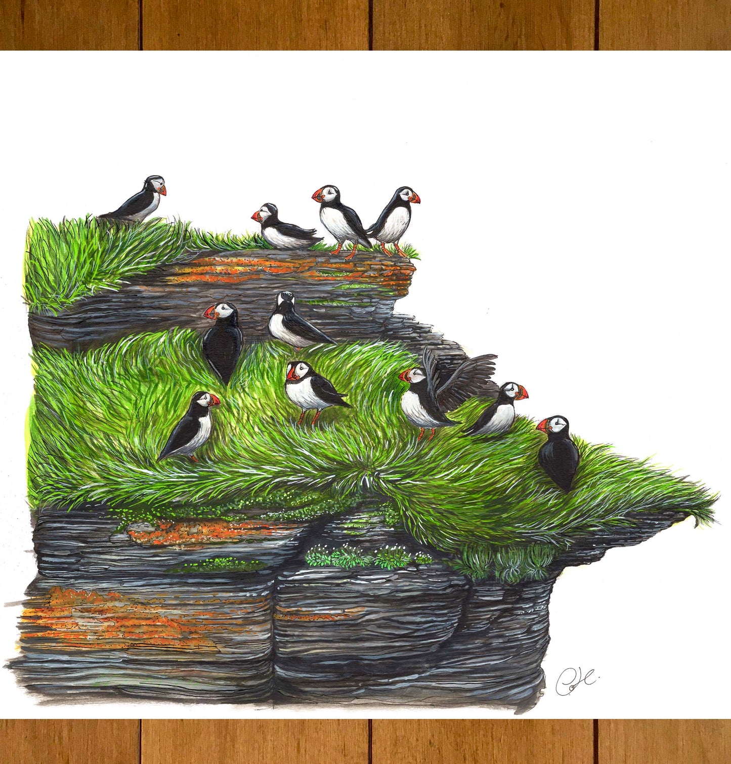Grande illustration originale - Le cap aux perroquets