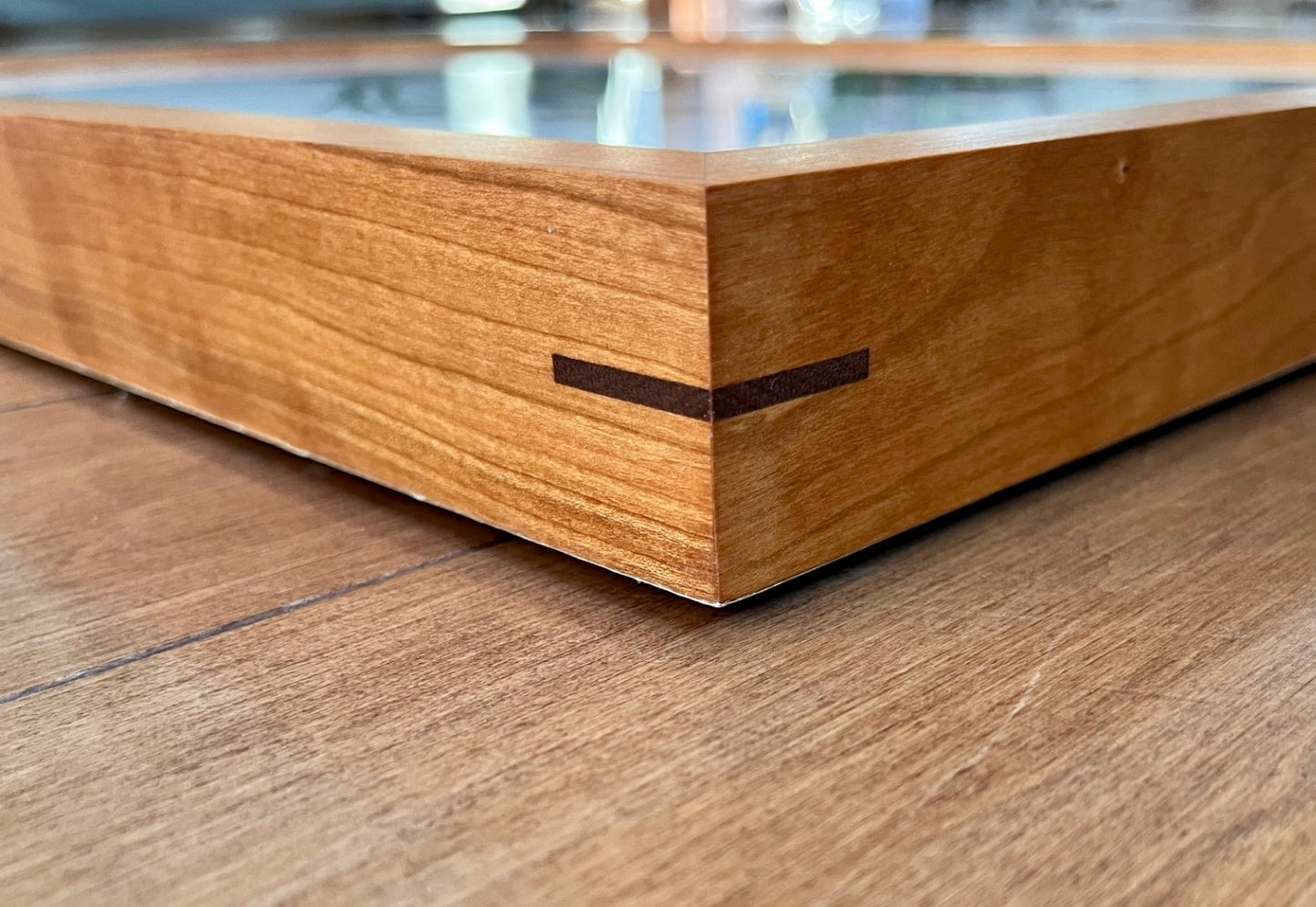 Milieu humide de Saint-Théodore-d'Acton