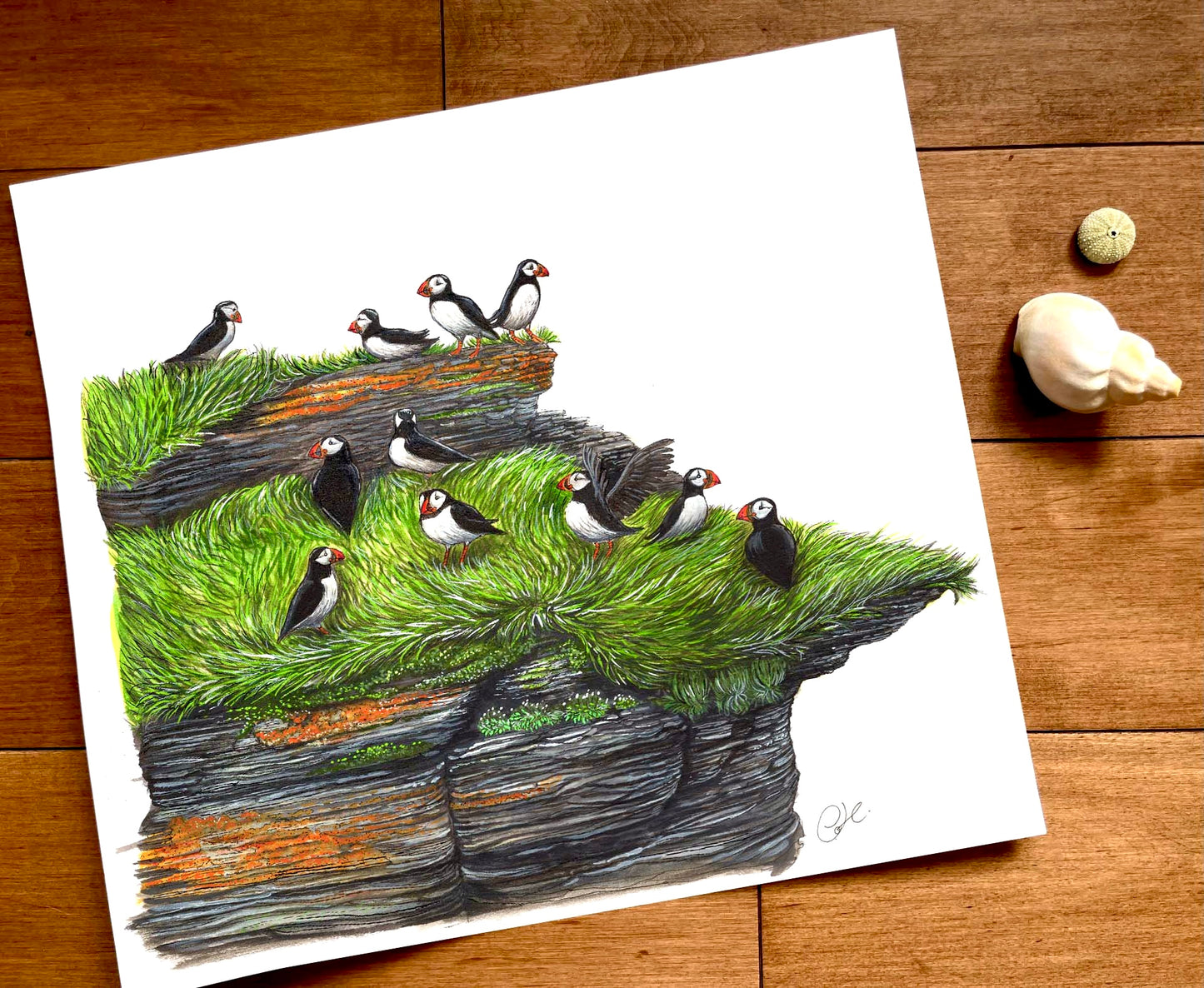 Grande illustration originale - Le cap aux perroquets