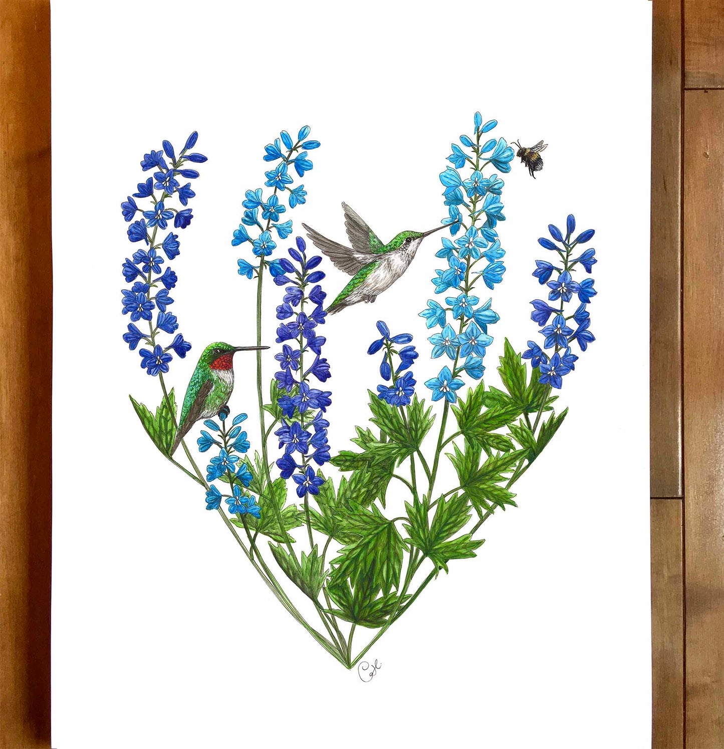 Colibris et delphiniums