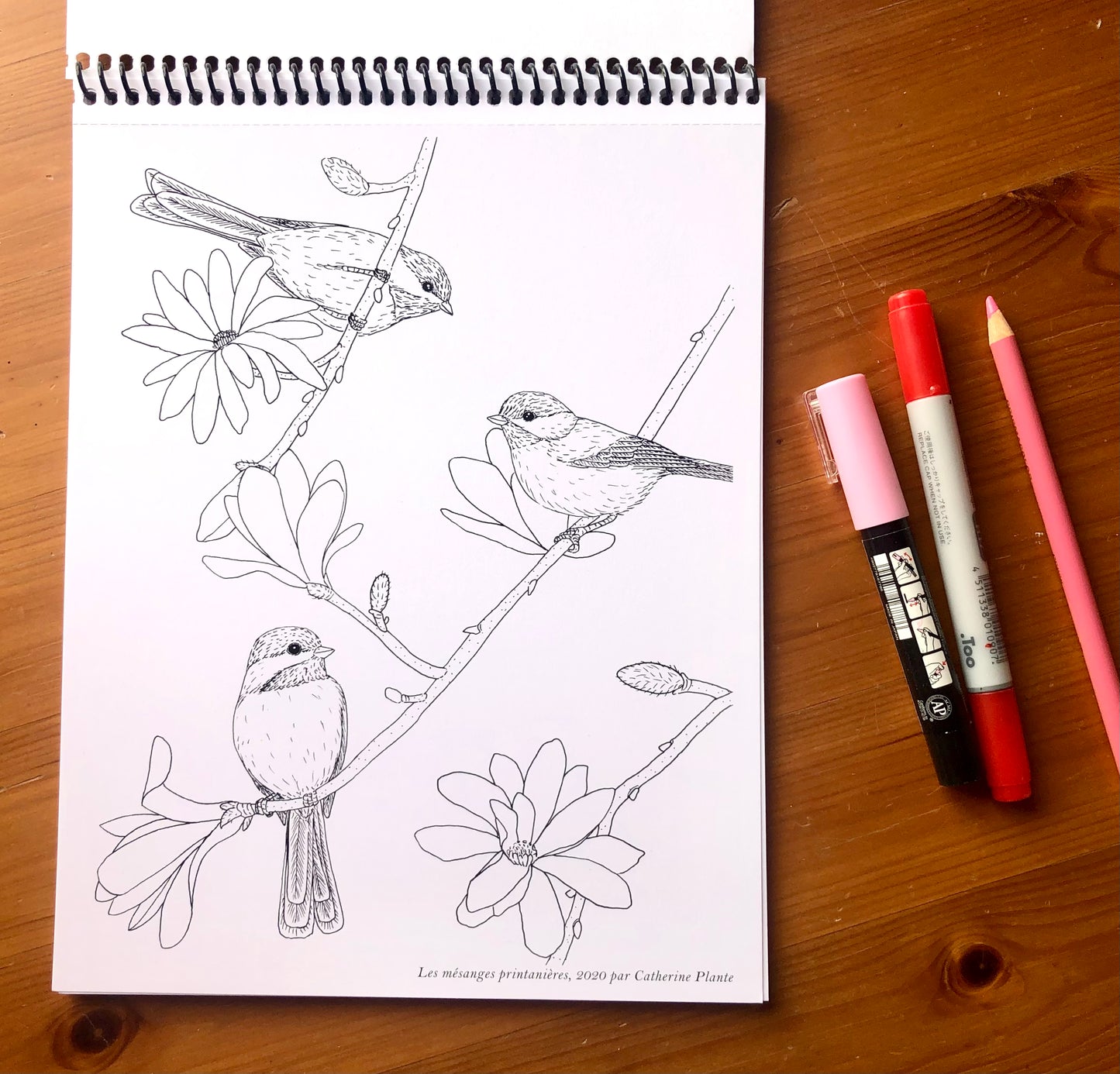 Cahier à colorier - Les oiseaux de nos jardins