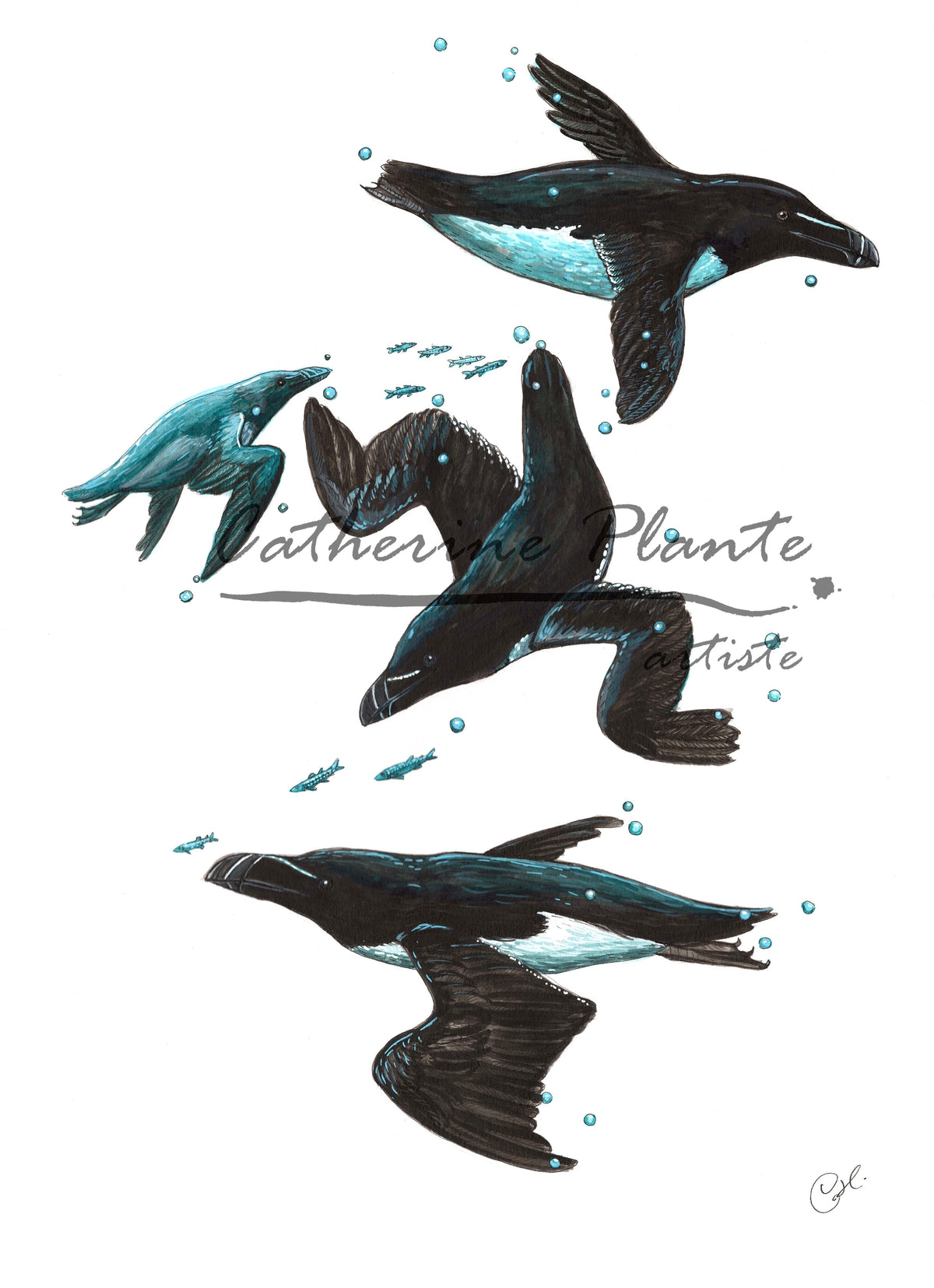 Grande illustration originale - Les Petits Pingouins sous-marins
