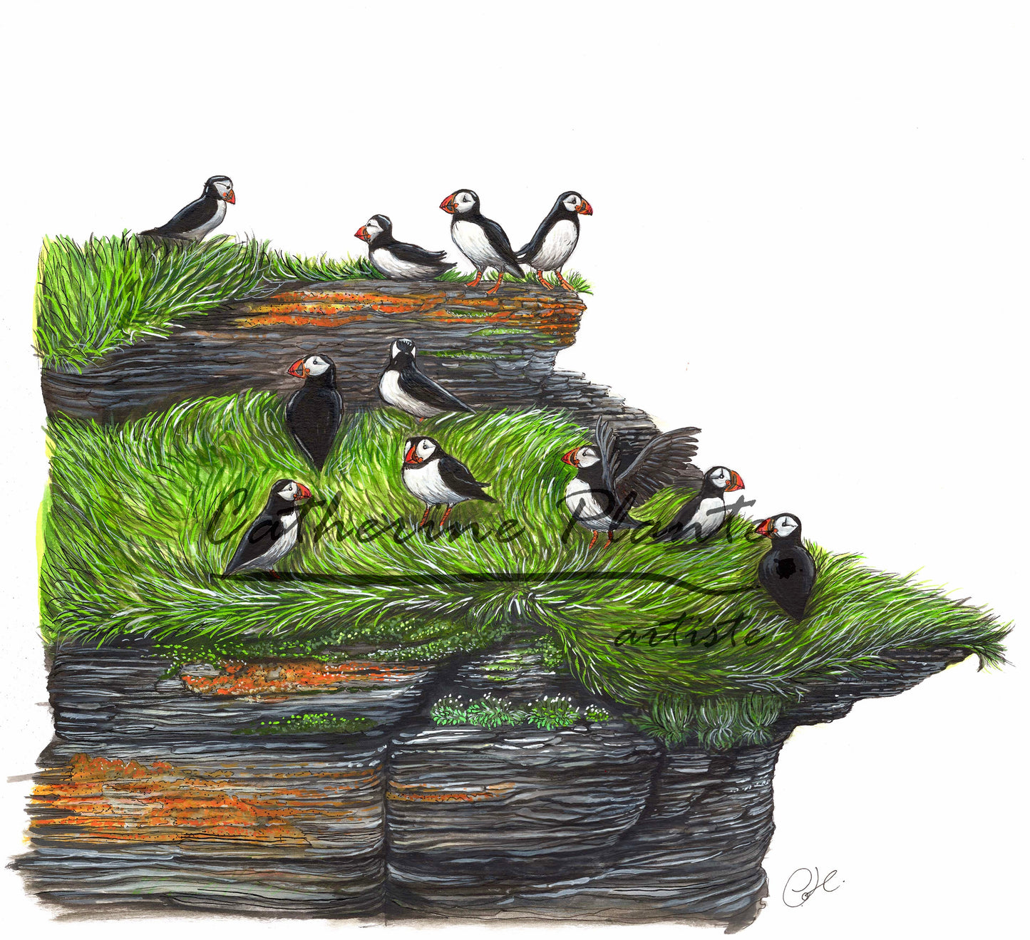 Grande illustration originale - Le cap aux perroquets
