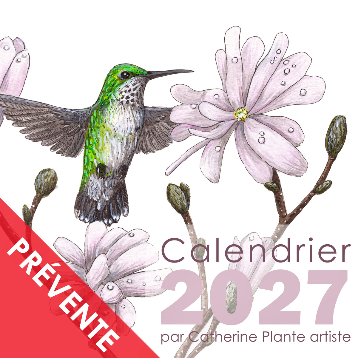 PRÉVENTE - Calendrier 2027