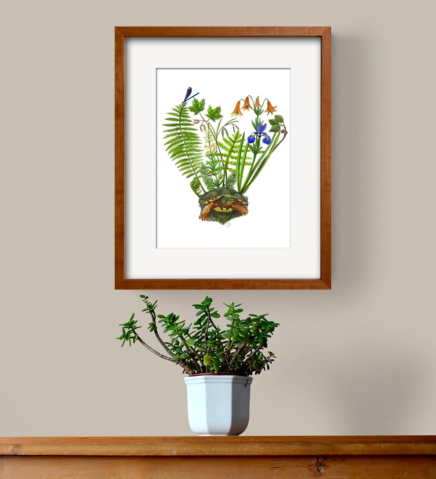 Milieu humide de Saint-Théodore-d'Acton