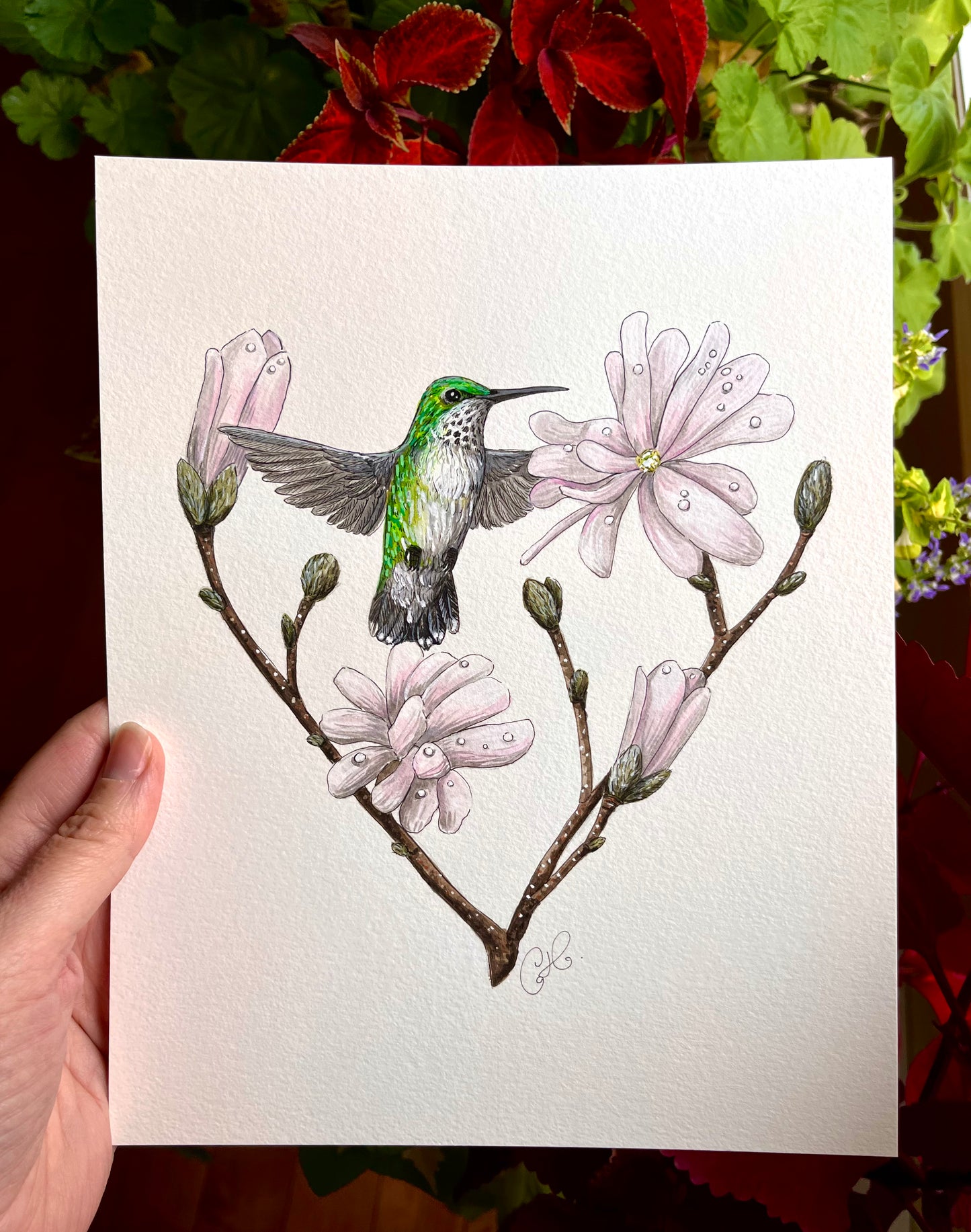 The First Hummingbird