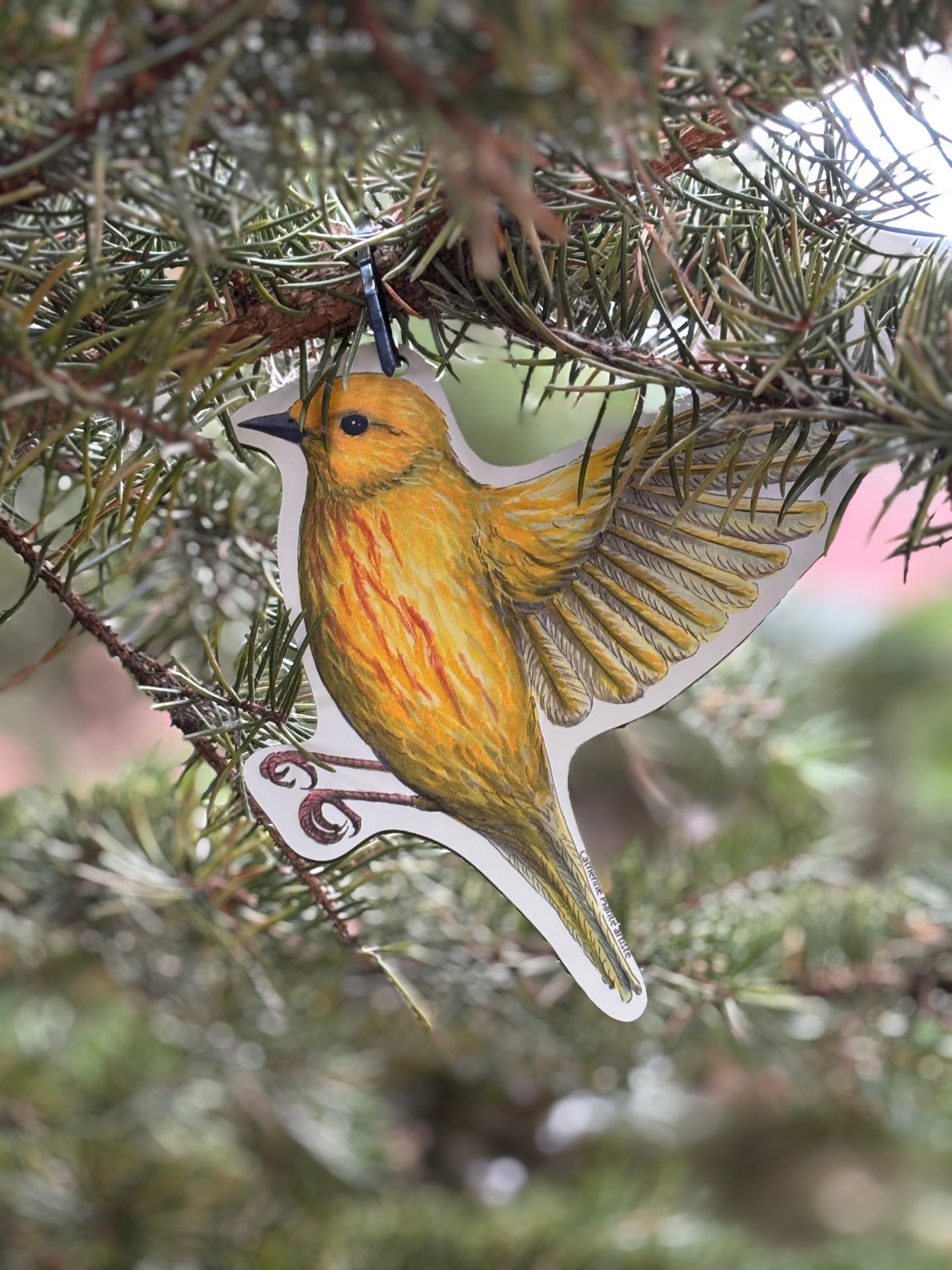 Rallye d'oiseaux - Modèle Deluxe: Ornithologue passionné