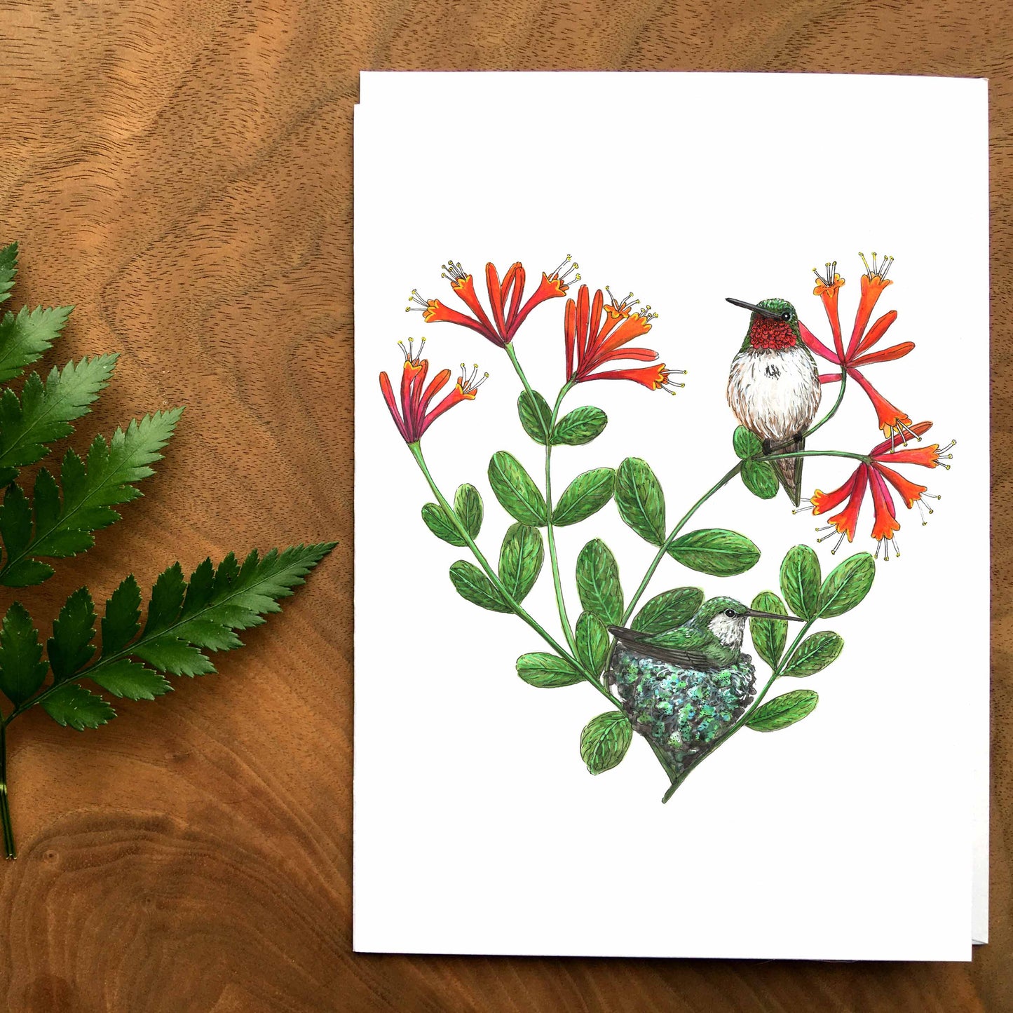 Carte - Le nid des colibris