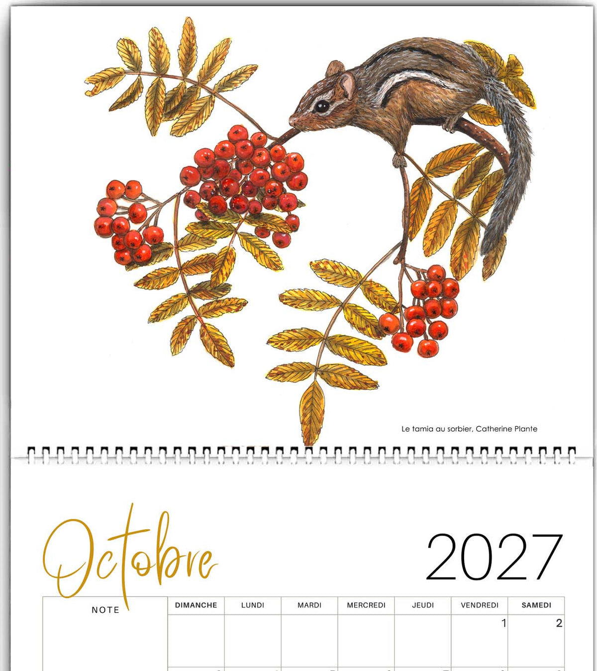 PRÉVENTE - Calendrier 2027