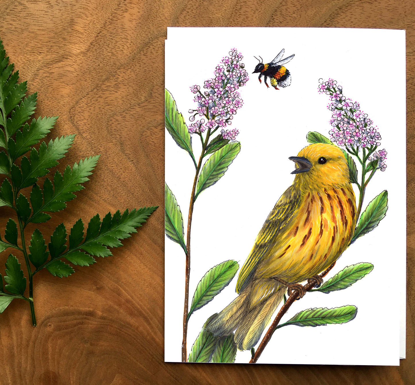 Card - Warbler with pollinator