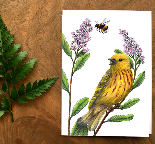 Carte - Parulines au coeur pollinisateur