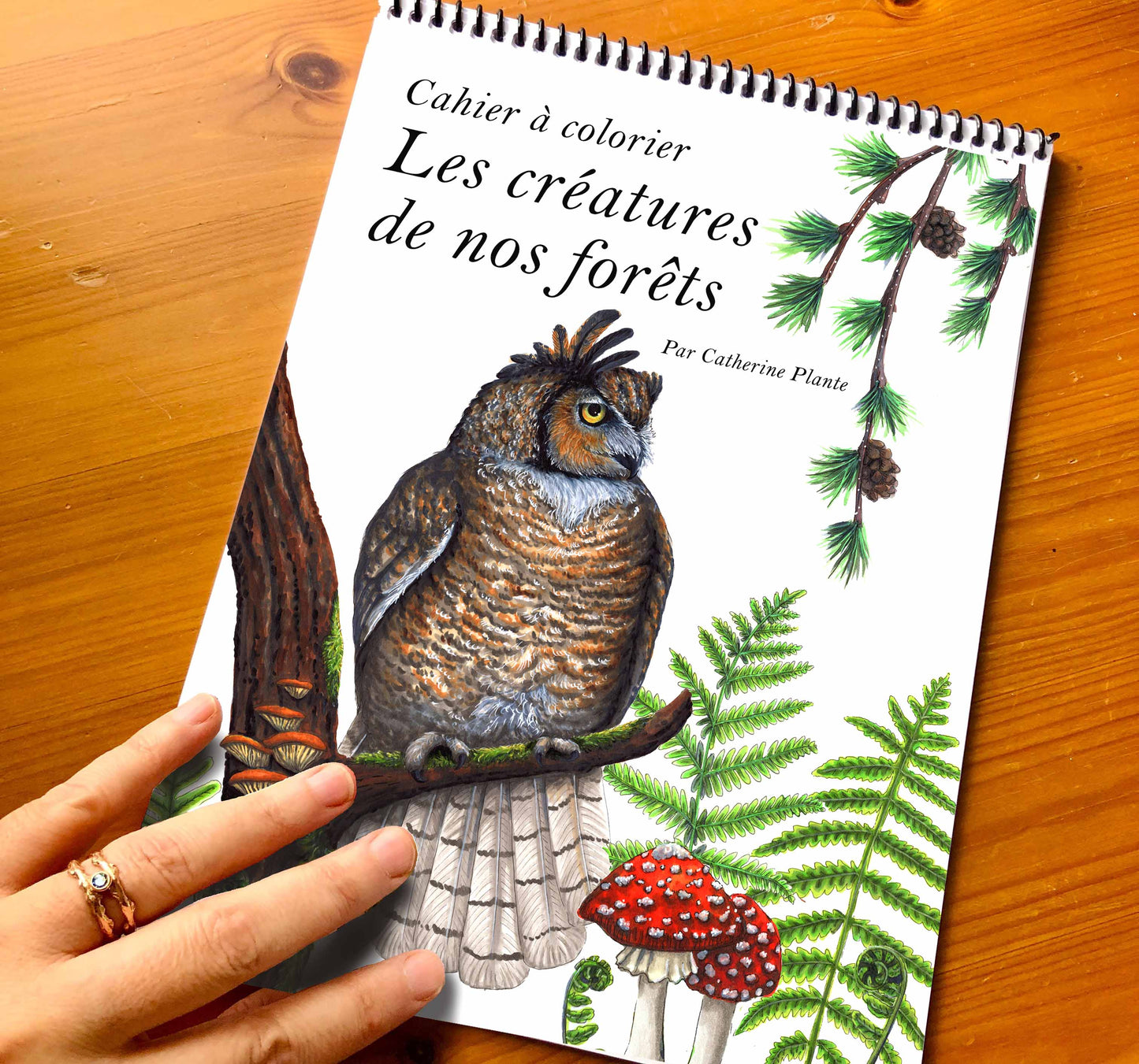 Cahier à colorier - Les créatures de nos forêts