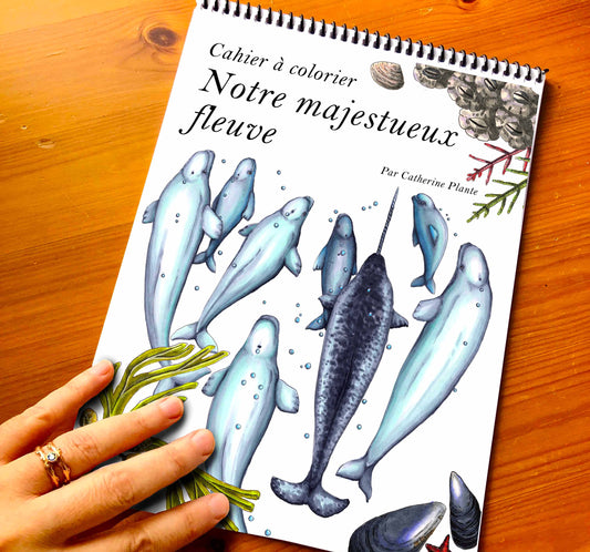 PRÉVENTE du cahier à colorier - Notre majestueux fleuve