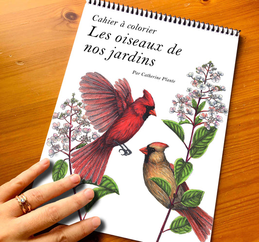 Coloring Book - Birds in Our Gardens