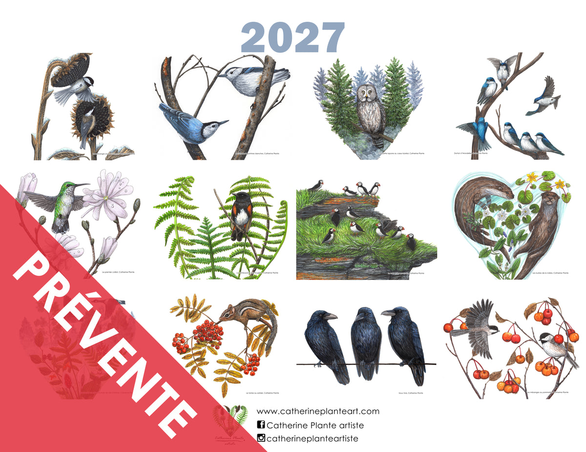 PRÉVENTE - Calendrier 2027