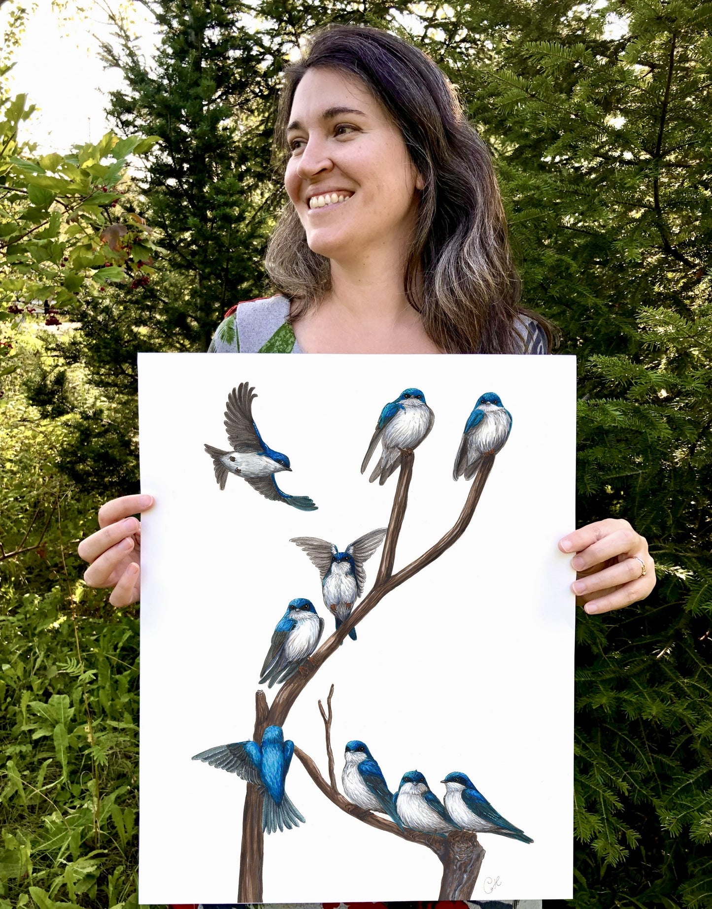 Large original illustration - Swallow dormitory