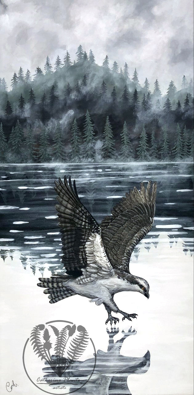 Peinture originale - Le balbuzard du lac