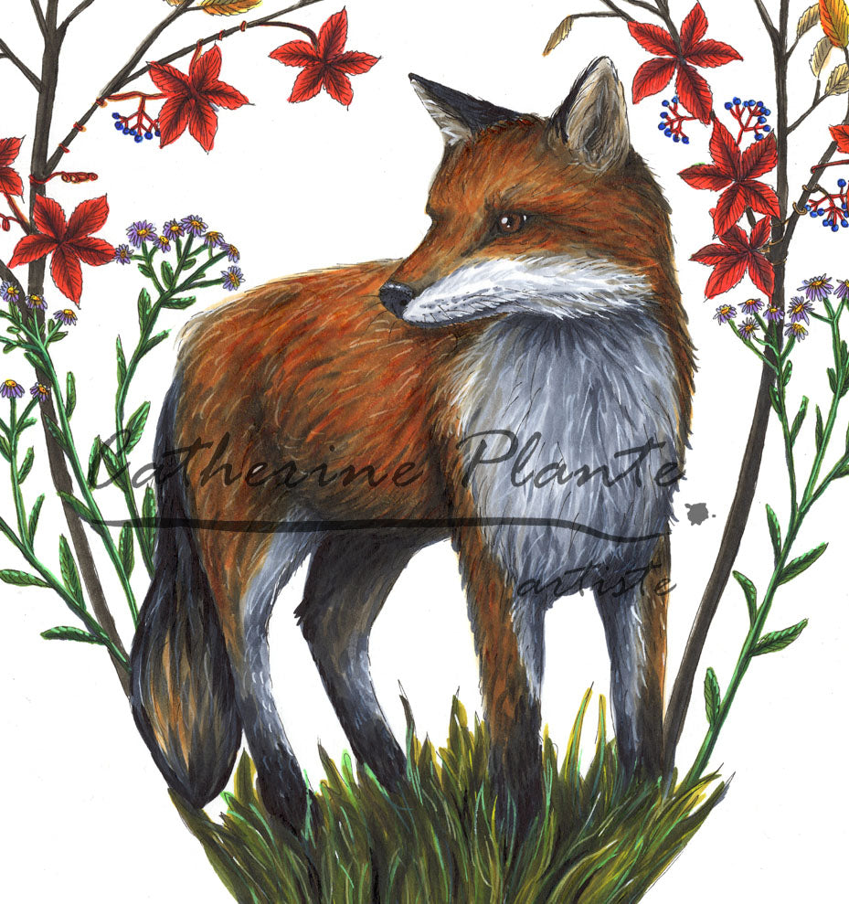 Marque-page renard - Illustration animal plaine - Artcamia