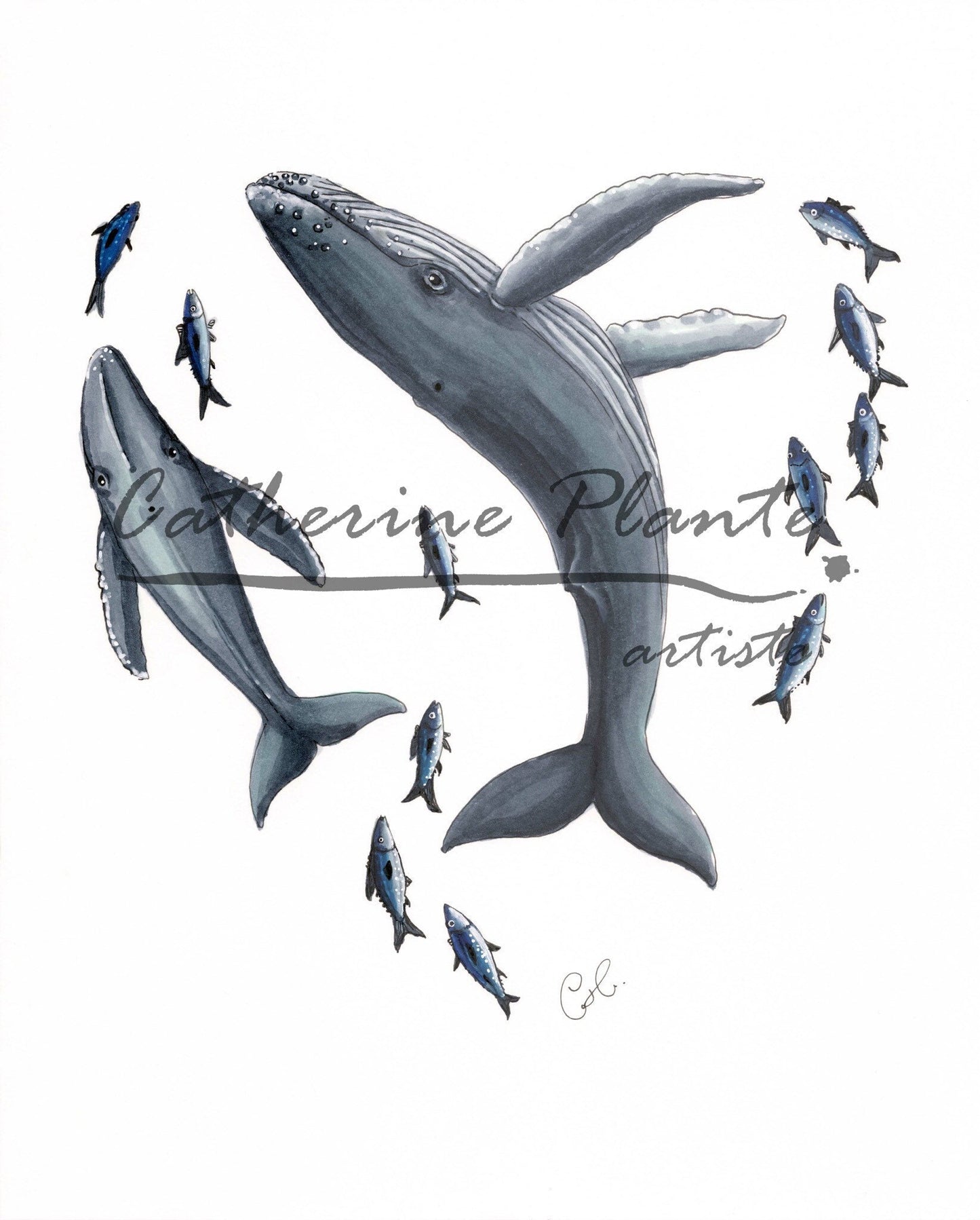 Impression d'art - Cœur de baleines