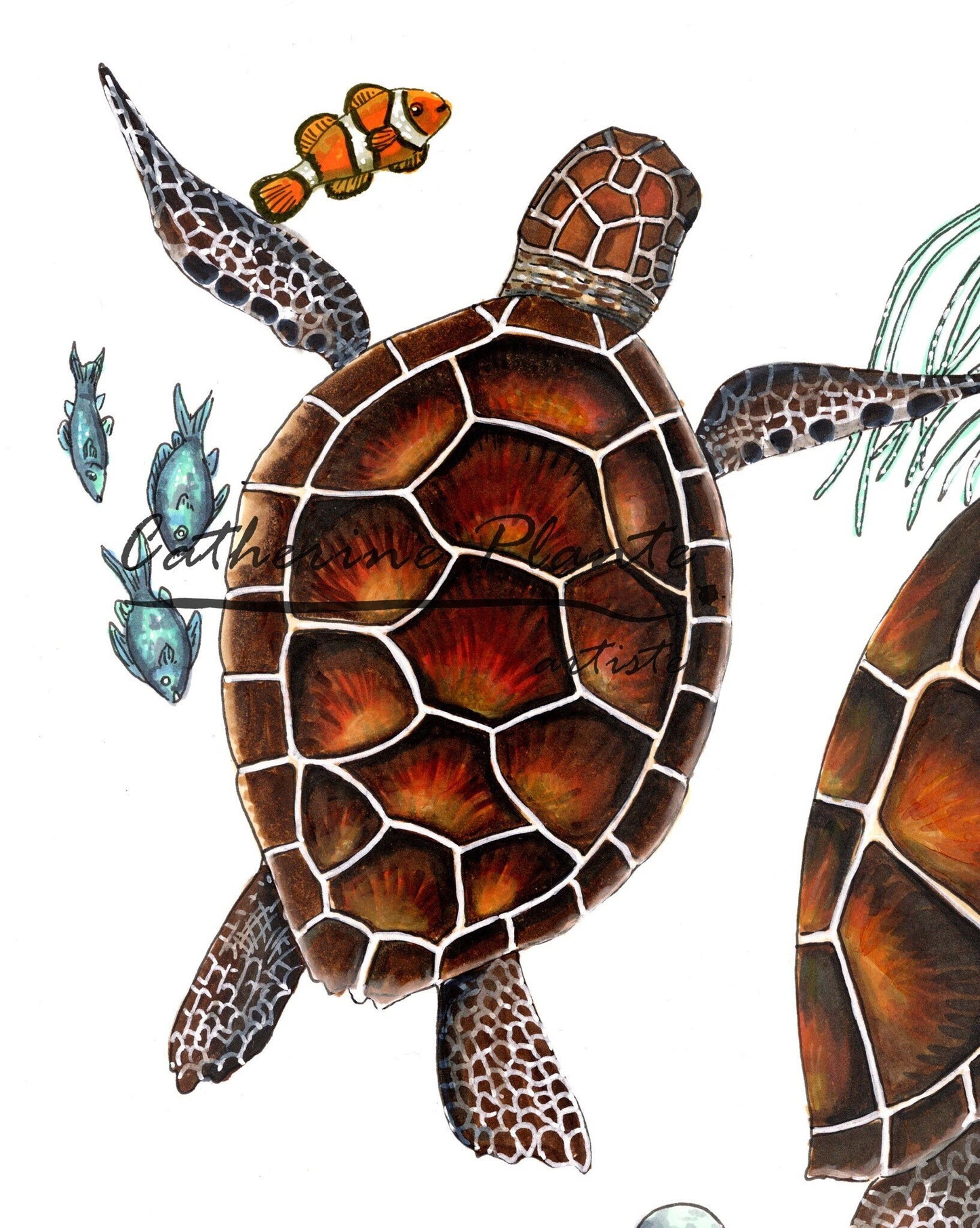 Impression d'art - Danse aquatique des tortues